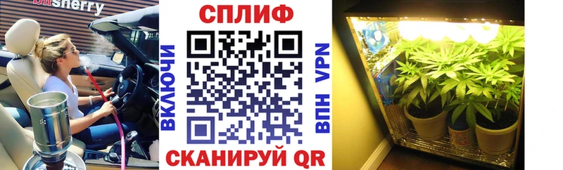 Все наркотики Тбилисская Гашиш АМФЕТАМИН Меф Каннабис Cocaine Alpha PVP