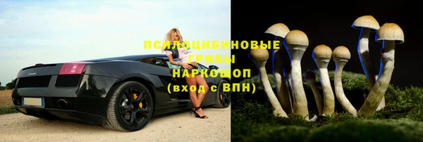 крисы Абаза