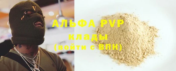 крисы Абаза