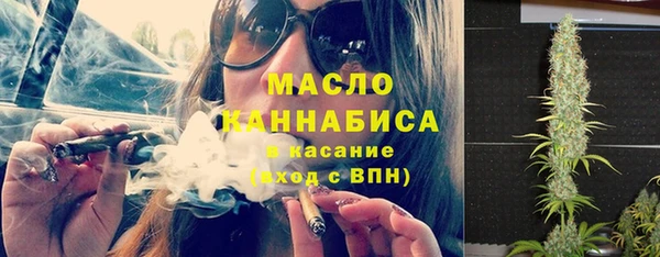 крисы Абаза