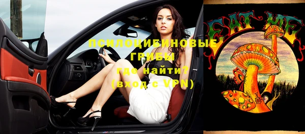 крисы Абаза