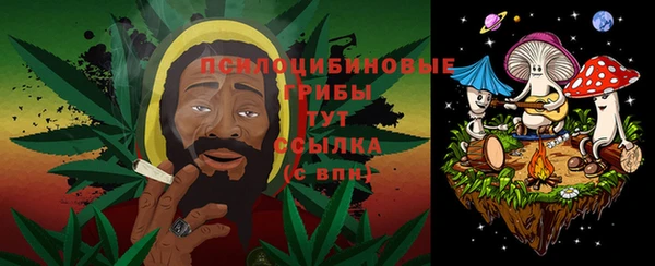 крисы Абаза