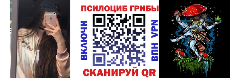 блэк спрут как войти  где продают наркотики  Тбилисская  Галлюциногенные грибы Magic Shrooms 